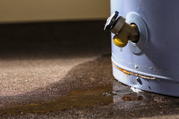 Best Ceiling water damage repair  in Bon Aqua Junction, TN