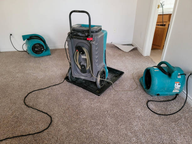 Best Mold removal after water damage  in Bon Aqua Junction, TN