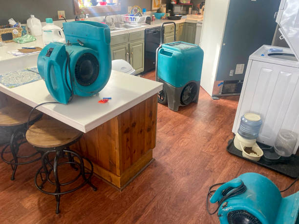 Best Basement water damage restoration  in Bon Aqua Junction, TN