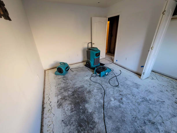 Best Residential water damage restoration  in Bon Aqua Junction, TN