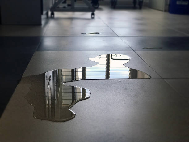 Best 24/7 water damage repair  in Bon Aqua Junction, TN