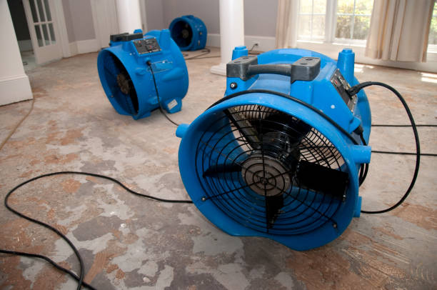 Best Carpet water damage restoration  in Bon Aqua Junction, TN