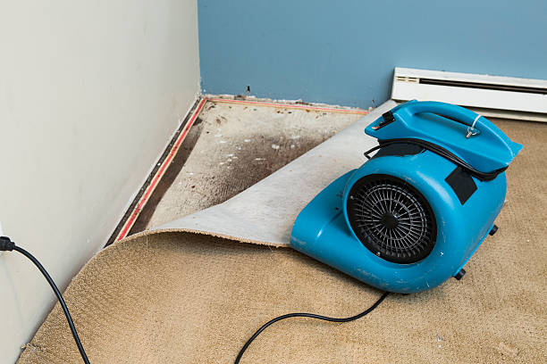 Best 24/7 water damage repair  in Bon Aqua Junction, TN
